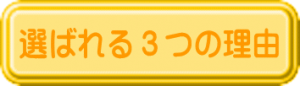 選ばれる理由ボタン